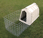 Hutch Fence
