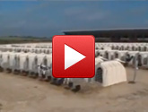 Calf Hutches Video